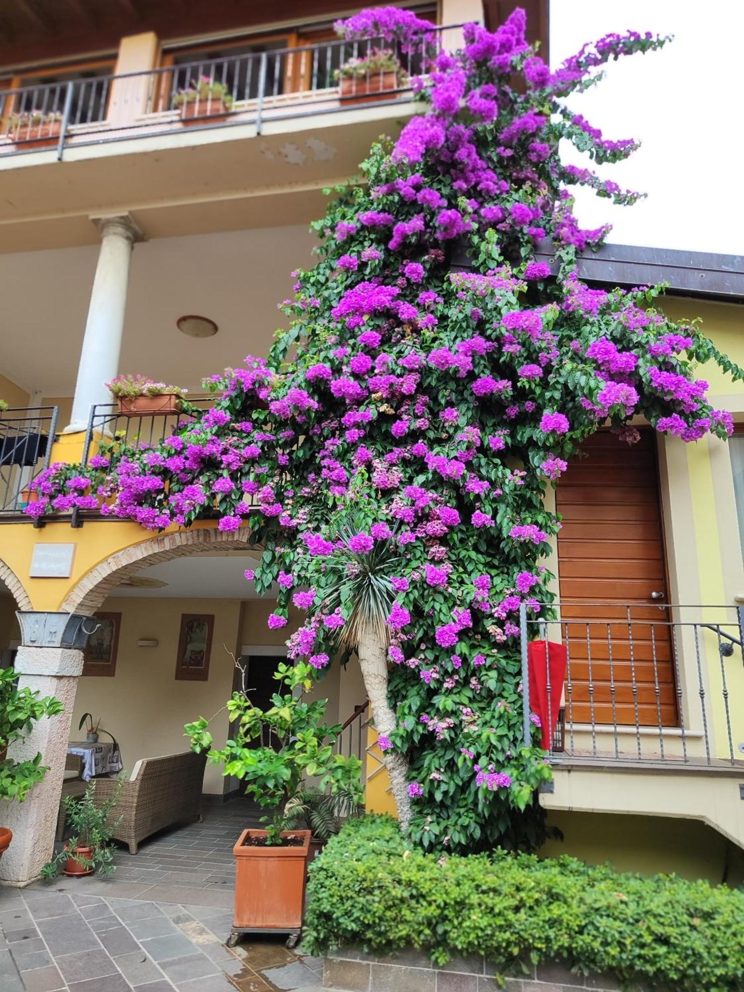 Agriturismo Il Barone Moniga del Garda Bagian luar foto